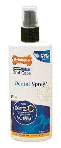 Nylabone Advanced Oral Care 4 oz Dog Dental Spray - 2 Pack
