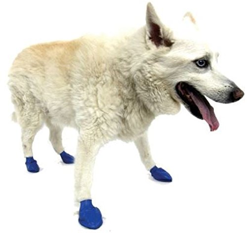 Pawz Blue Water-Proof Dog Boot, Medium, Up to 3-Inch