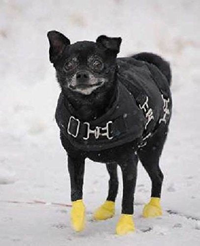 Pawz Yellow Water-Proof Dog Boot, XX-Small, Up to 1-1/2-Inch