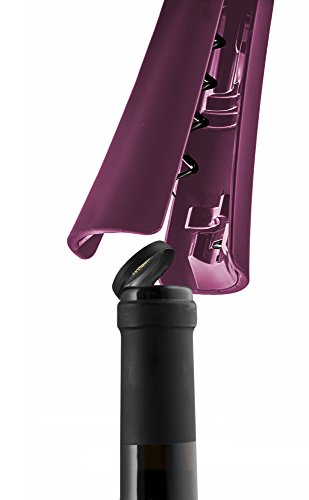 4 in 1 Wine Opener-screwpull Corkscrew with Pour Spout, Bottle Stopper, Wine Foil Cutter (Purple)