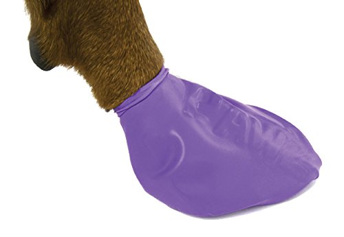 Pawz Purple Water-Proof Dog Boots, Large, Paws 3" to 4"(12 Disposable-reusable Boots)