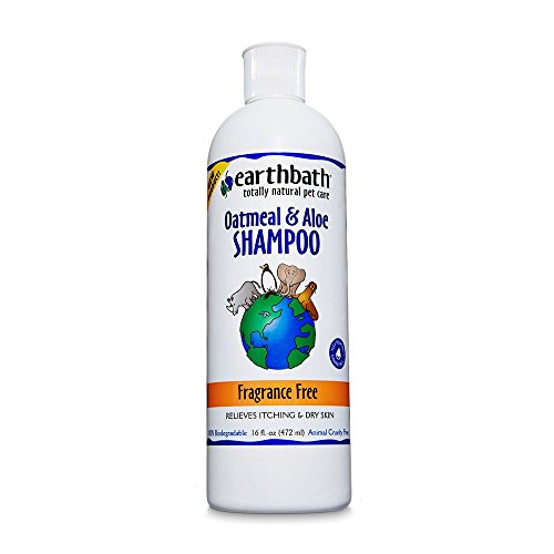 Earthbath Oatmeal and Aloe Shampoo, 16 oz