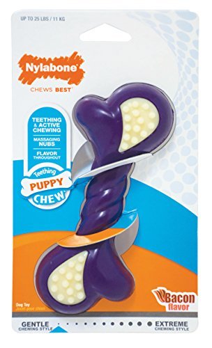 Nylabone Just for Puppies Regular Bacon Flavored Double Action Bone Puppy Dog Teething Chew Toy