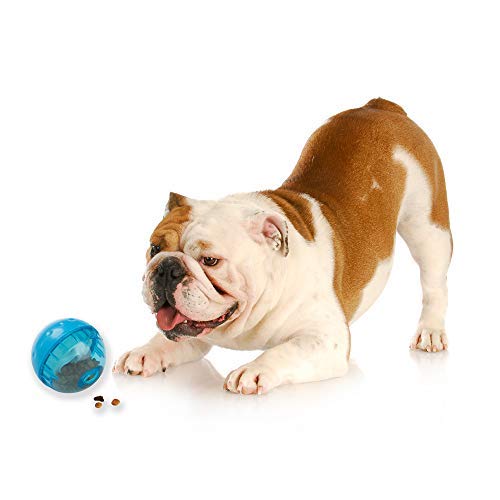 Our Pets IQ Treat Ball Interactive Food Dispensing Dog Toy (ASSORTED COLOR)