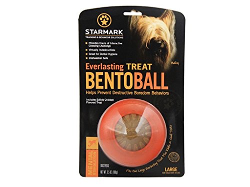 StarMark Everlasting Bento Ball, Large-2 Pack