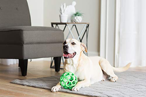 JW Hol-ee Roller Original Treat Dispensing Dog Ball - Hard Natural Rubber - Assorted Colors