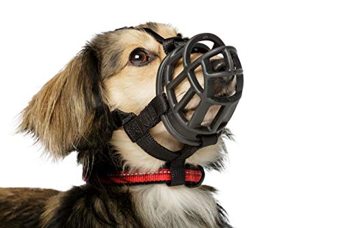 Baskerville Ultra Muzzle, dog muzzle to prevent biting and chewing, humane dog muzzle for small dogs, ideal for mini poodle, westie, jack russell terrier and more, Black