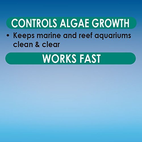 API MARINE ALGAEFIX Algae Control Solution 16-Ounce Bottle