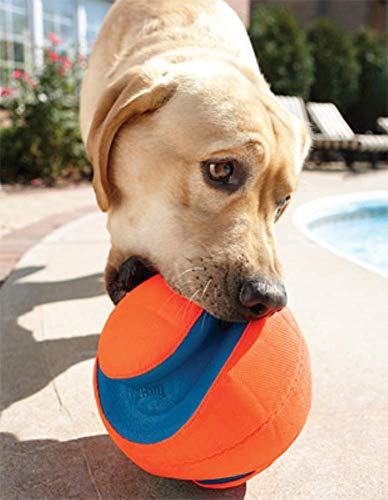 Chuckit! Kick Fetch Toy Ball for Dogs