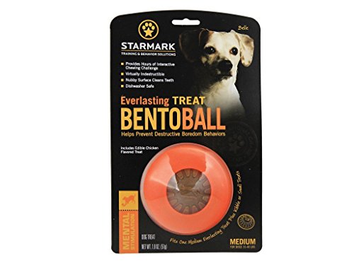 StarMark Everlasting Bento Ball, Medium - 2 Pack