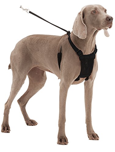 SPORN No Pull Dog Harness, Black, Extra Large