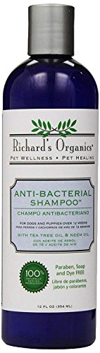 SynergyLabs Richard's Organics Anti-Bacterial Shampoo with Tea Tree Oil and Neem Oil, 24 fl. oz.