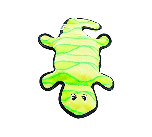 Outward Hound Invincibles Gecko Stuffingless Durable Tough Plush Dog Squeaky Toy with 2 Squeakers