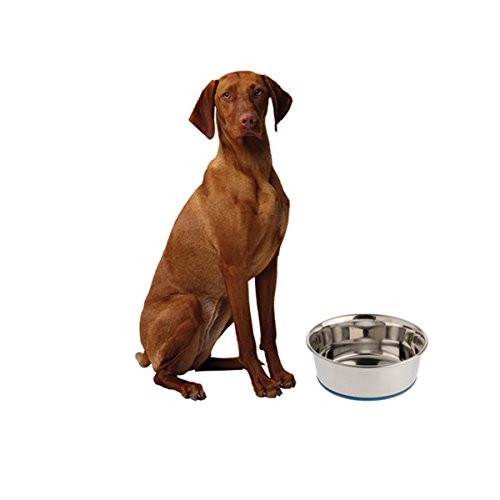 OurPets Premium DuraPet Dog Bowl 1.25qt