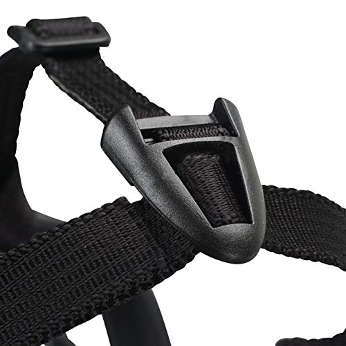 Baskerville Ultra Muzzle, dog muzzle to prevent biting and chewing, humane dog muzzle for small dogs, ideal for mini poodle, westie, jack russell terrier and more, Black