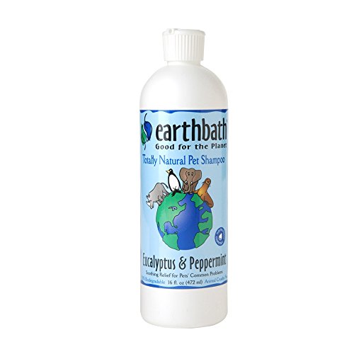 Earthbath THREP0036 All Natural Eucalyptus and Peppermint Shampoo, 16-Ounce