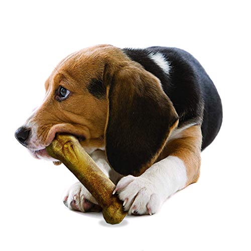 Nylabone Healthy Edibles Dog Chew Treat Bones