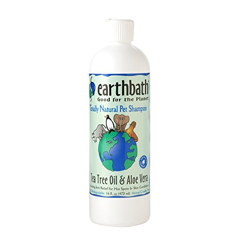 Earthbath 84012-2 All Natural Shampoo (2 Pack), 16 oz