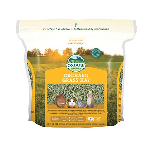 Oxbow Animal Health Orchard Grass Hay for Pets, 40-Ounce