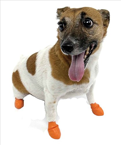 Pawz Orange Water-Proof Dog Boot, X-Small, Up to 2-Inch