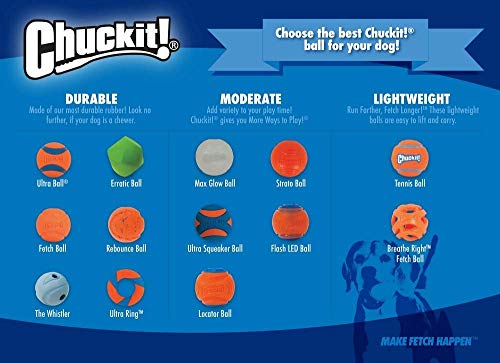 Chuckit! Max Glow Ball, Small-2 Pack