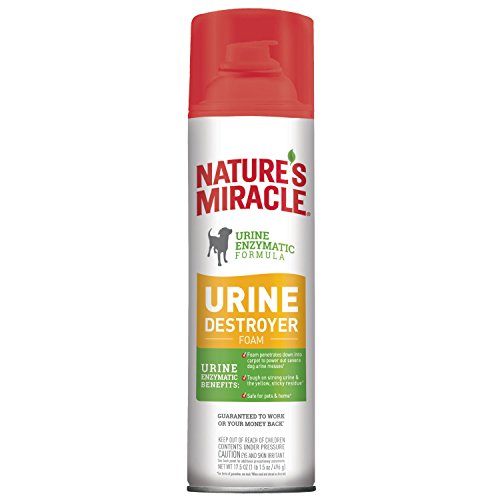 Nature's Miracle Nm Dog Urine Destroyer Foam, 17.5 oz