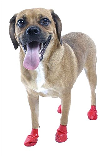 Pawz Red Water-Proof Dog Boot, Small, Up to 2-1/2-Inch