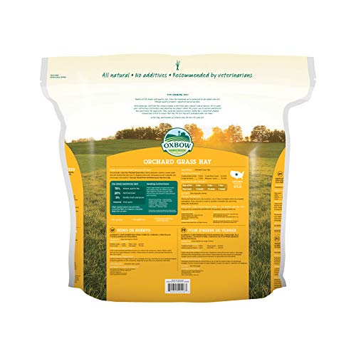 Oxbow Animal Health Orchard Grass Hay for Pets, 40-Ounce