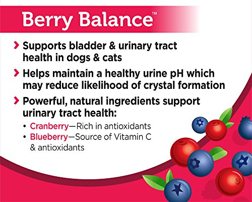 Solid Gold Dog & Cat Supplements for Urinary Tract Health and Testing; Berry Balance Chews and Powder with Antioxidant-rich cranberries plus pH Strips