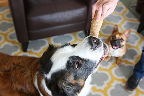 Petstages Dogwood Durable Real Wood Dog Chew Toy for Dogs