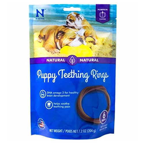 N-Bone Puppy Teething Ring Pumpkin Flavor (12 Pack)