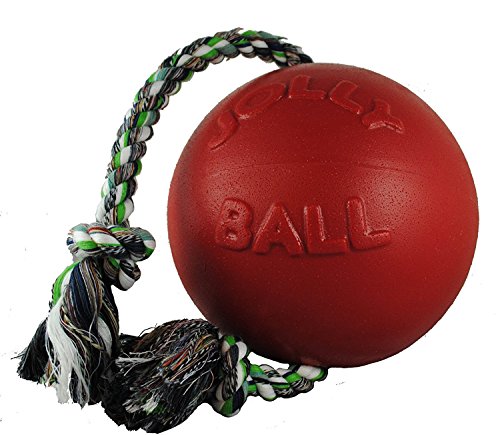 Jolly Pets Romp-n-Roll Ball (2 Pack)