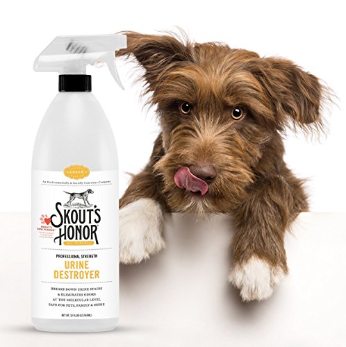 SKOUT'S HONOR Professional Strength, All-Natural Dog Urine Destroyer - Non-Toxic, Biodegradable, and Eco-Friendly - Odor Eliminating Technology Destroys Odor Molecules On Contact - 64-OZ Spray Bottle