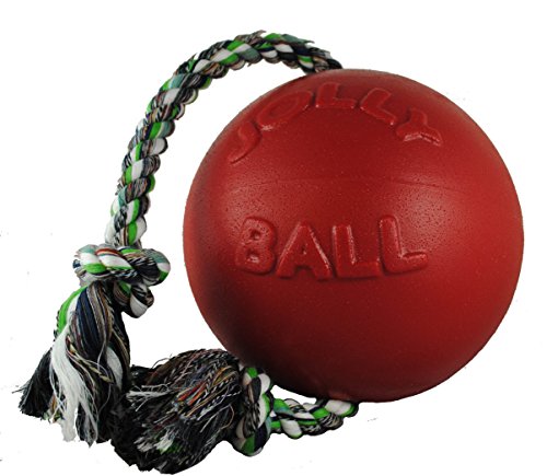 Jolly Pets 8-Inch Romp-n-Roll, Red