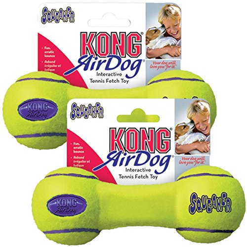 KONG Air Dog Squeaker Dog Toy