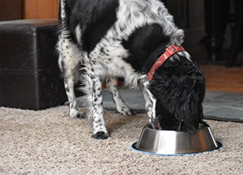 OurPets Premium DuraPet Non-Tip Dog Bowl Medium