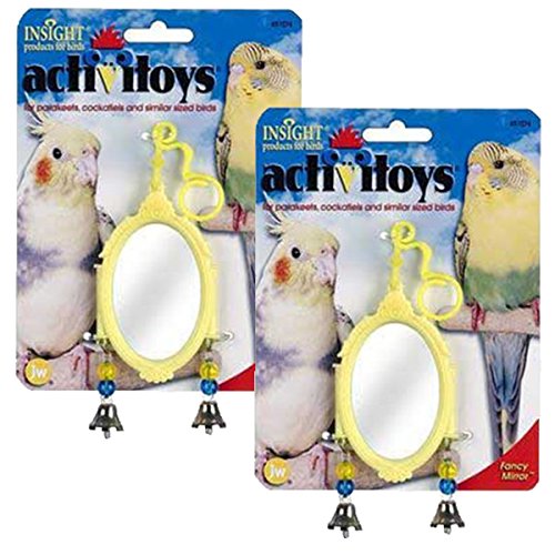 JW Pet Insight ActiviToys Fancy Mirror Bird Toy
