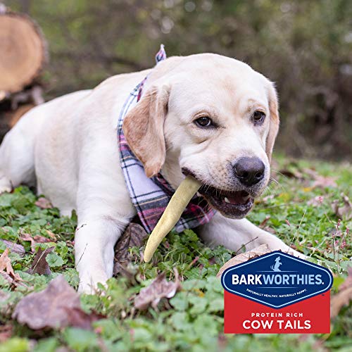Barkworthies All-Natural Dog Treats - Flavor-Rich Cow Tail Chews (6 oz.) - High in Protein & Low in Fat