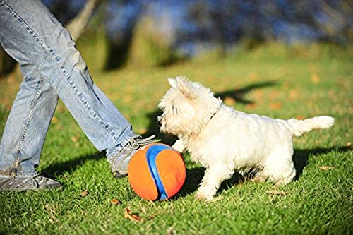 Chuckit! Kick Fetch Toy Ball for Dogs