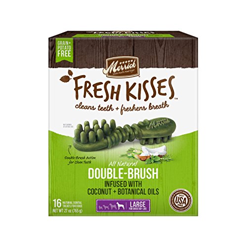 Fresh Kisses Coconut Oil + Botanicals Large Brush - Value Box (16 Ct)