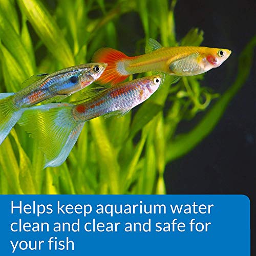 API Monthly Care Aquarium Care Kit