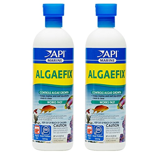 API MARINE ALGAEFIX Algae Control Solution 16-Ounce Bottle