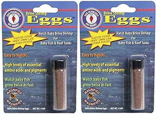 San Francisco Bay Brand ASF65031 Brine Shrimp Eggs Vial for Baby Fish and Reef Tanks, 6 grams, 2 Pack