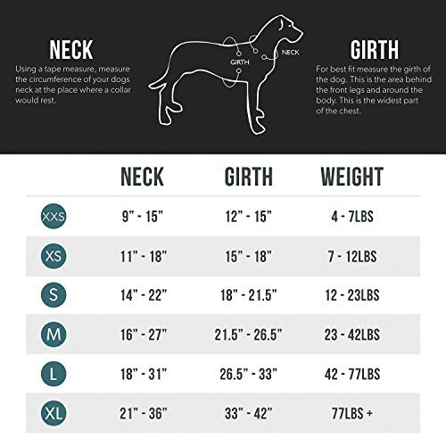 EzyDog Premium Quick Fit Adjustable No-Pull Dog Harness Vest with Reflective Stitching - Perfect for Training, Walking, and Control - Padded for Comfort (Small, Black)