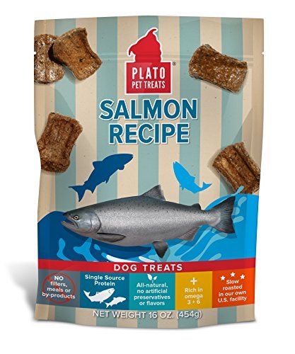 Plato Dog Treats -- Natural Salmon -- Pet Treats, All-Natural, Non-Gmo, No Artificial Flavors, Or Preservatives, Made In The Usa
