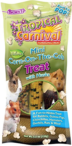 F.M. Brown's Tropical Carnival Natural Mini Corn-on-The-Cob Pet Treat with Husks, 5.5-oz Bag - Small Animal Foraging Treat
