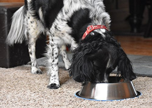 OurPets Premium DuraPet Non-Tip Dog Bowl Medium