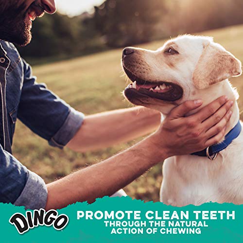 Dingo Denta Treats Teeth Whitening Mini Chews, 24 Pack