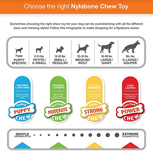 Nylabone Dura Chew Textured Toy (Peanut Butter Flavored Bone - 2 Pack)