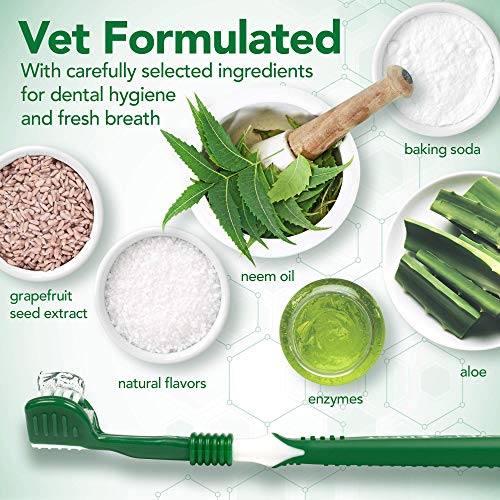 VetÂs Best Enzymatic Dog Toothpaste | Teeth Cleaning and Fresh Breath Dental Care Gel | Vet Formulated | 3.5 Ounces